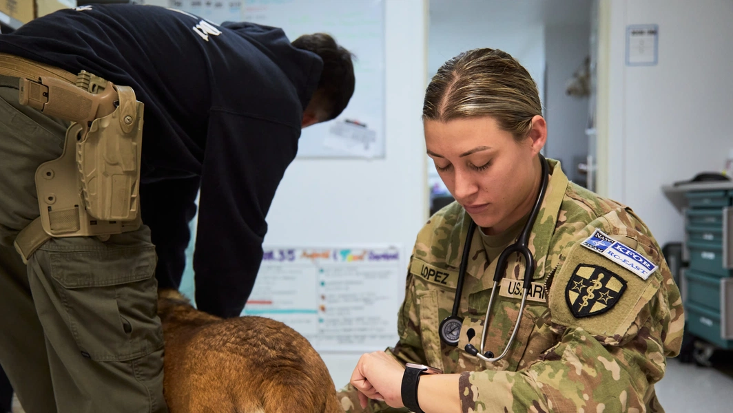 US overseas bases and military working dogs