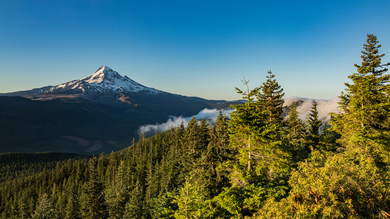 The 'Quietest City In America' Is The Perfect Destination Out West For An Unusually Tranquil Urban Vacation