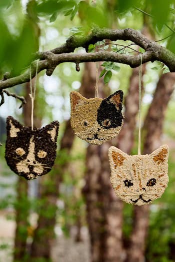 Three cat face ornaments with different patterns hang on a tree branch, suitable for decorative purposes