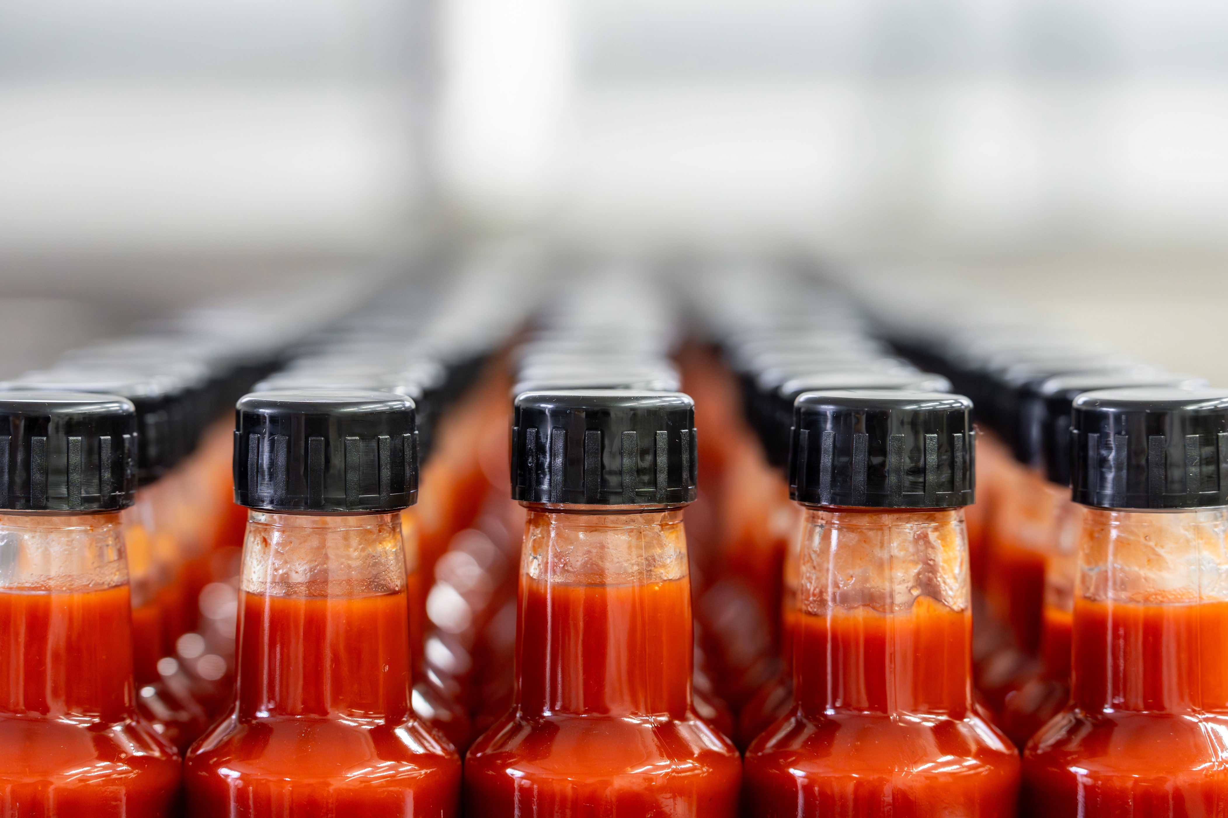 Rows of hot sauce bottles