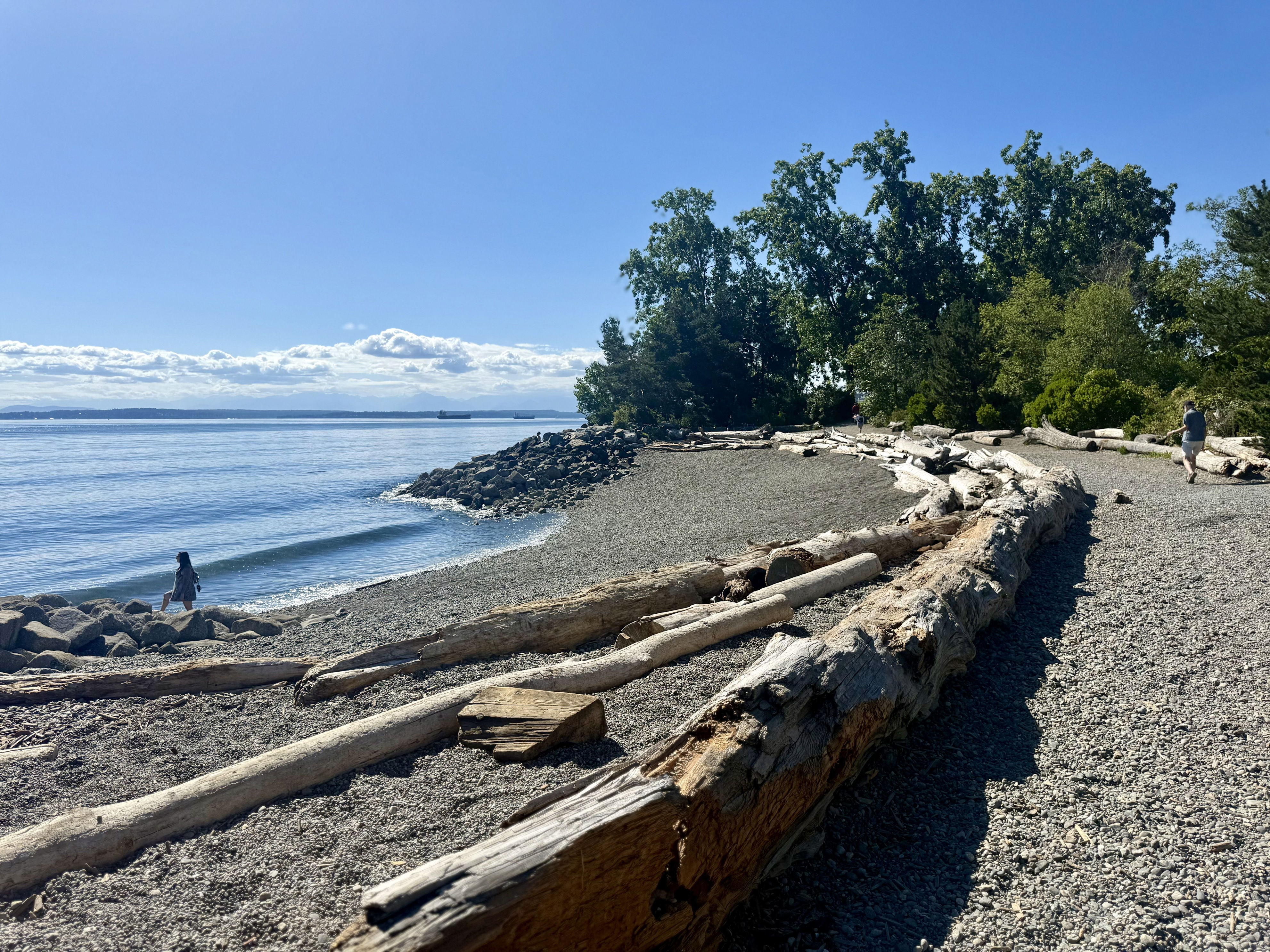 Seattle's new north waterfront trail has mountain views, beach access and coffee