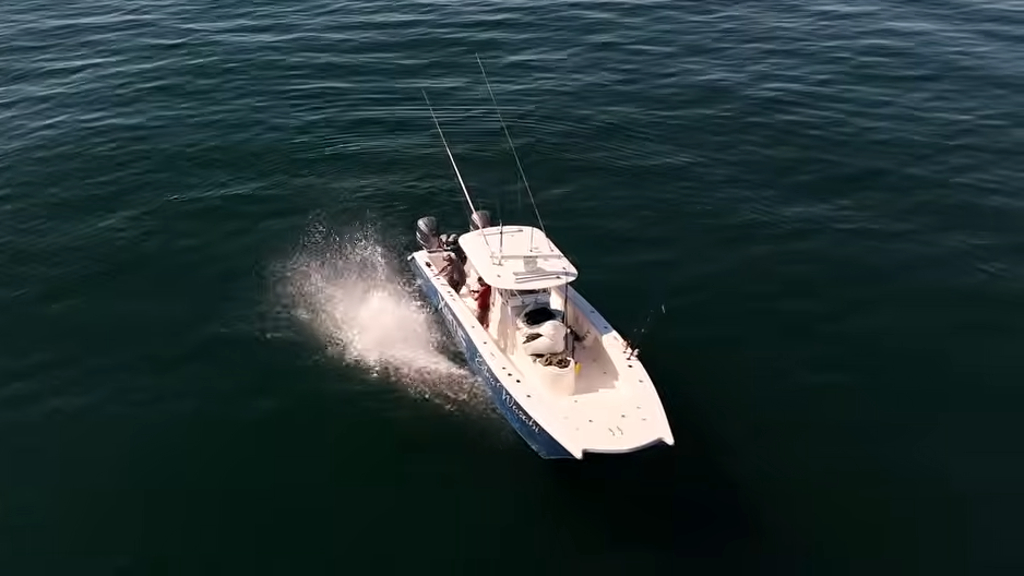 The line went tight... then a monster from the deep took control