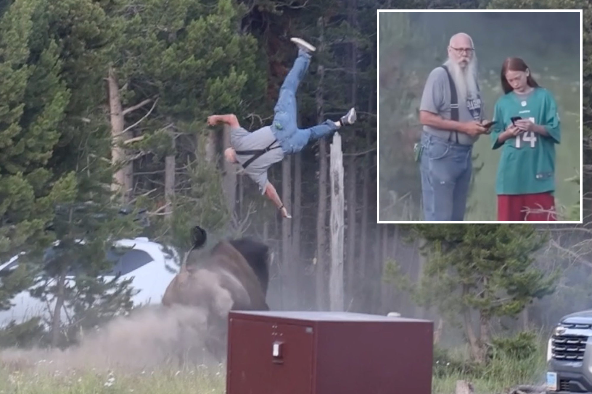 Heroic grandpa lured bison away from grandson before it tossed him 8-feet into air at Yellowstone, photographer reveals