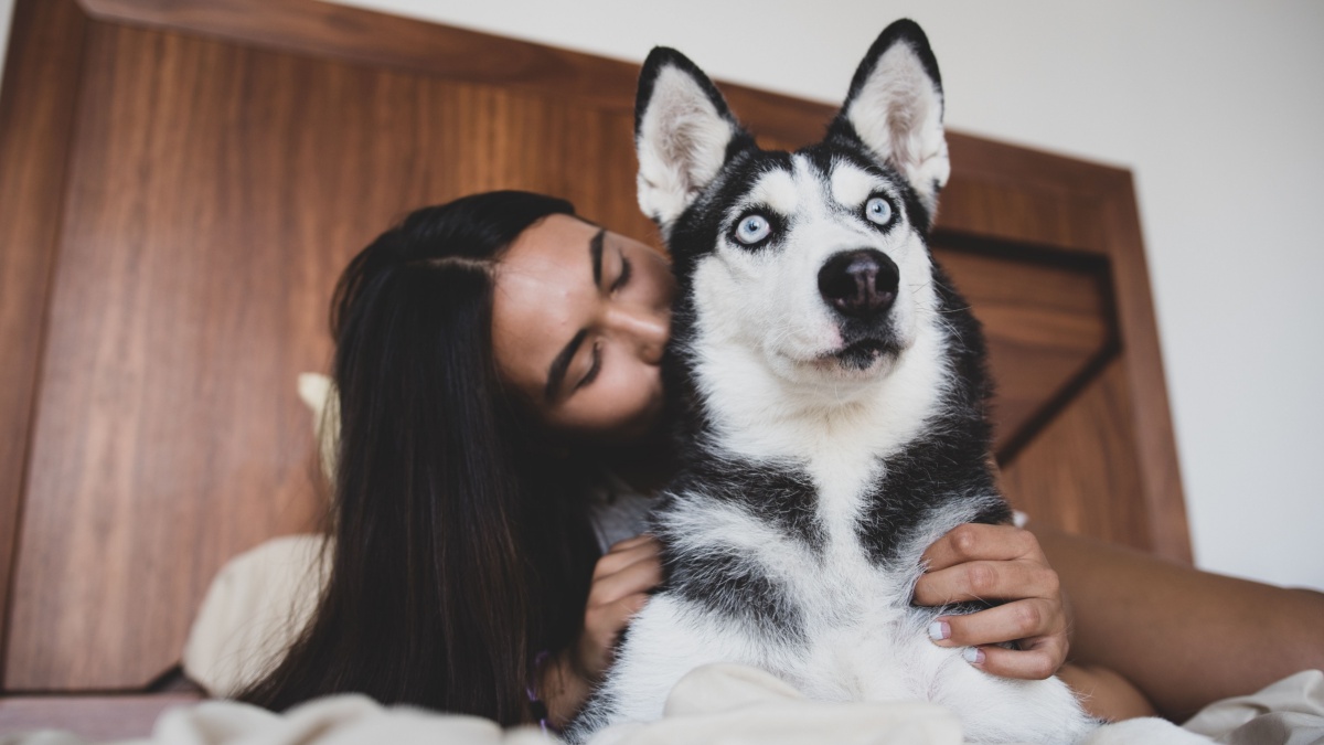 What your dog thinks when you kiss it