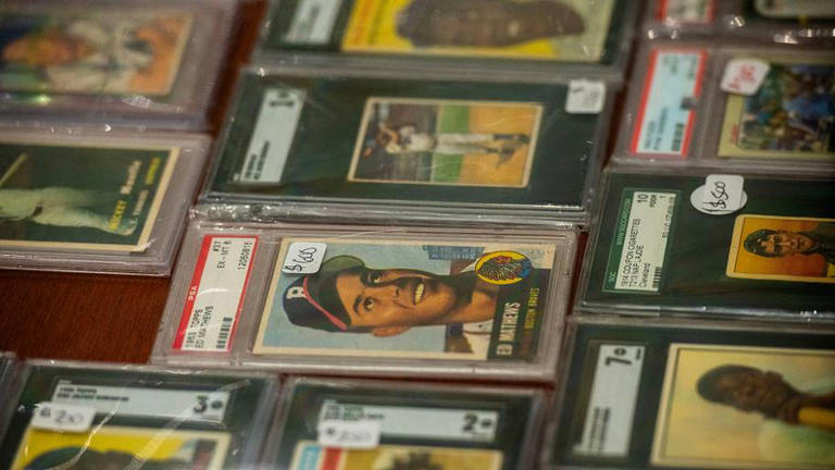 Hobby education: The art of knowing yourself