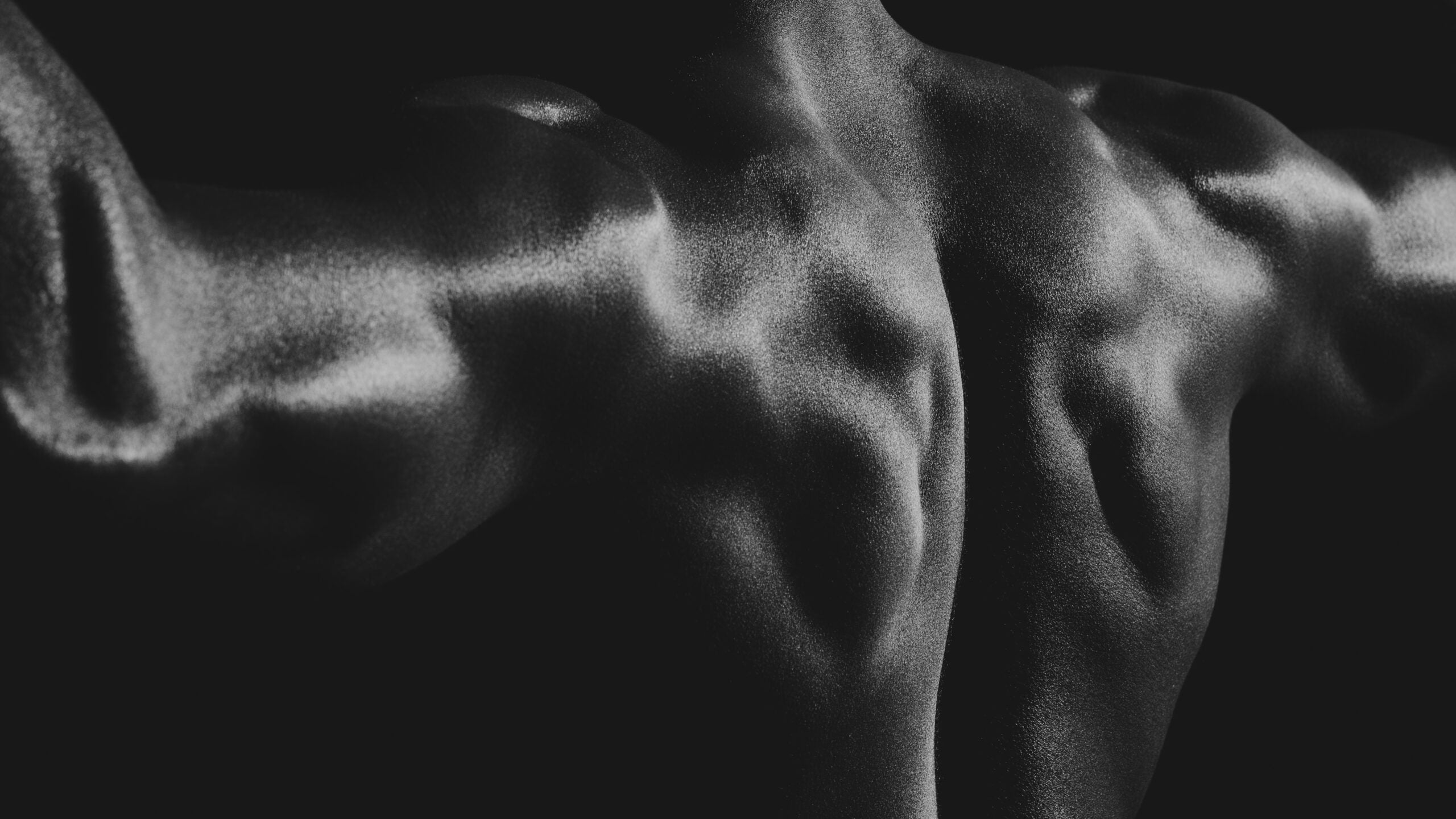 New research shows that muscle proteins evolved in diverse ways across species, challenging long-held assumptions about how animals move. (CREDIT: Shutterstock)