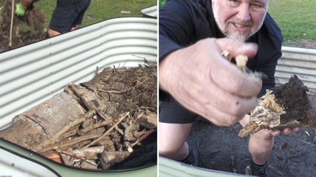 A man adds organic material to a garden bed while smiling and showing a piece of decomposed wood.