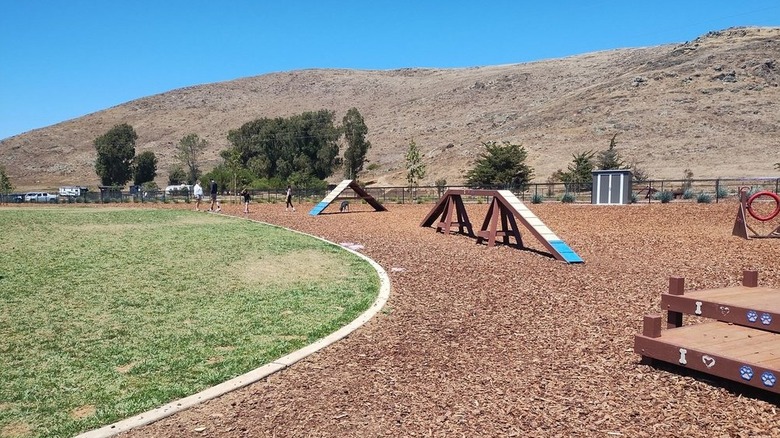 The new dog park at Laguna Lake Park in San Luis Obispo.