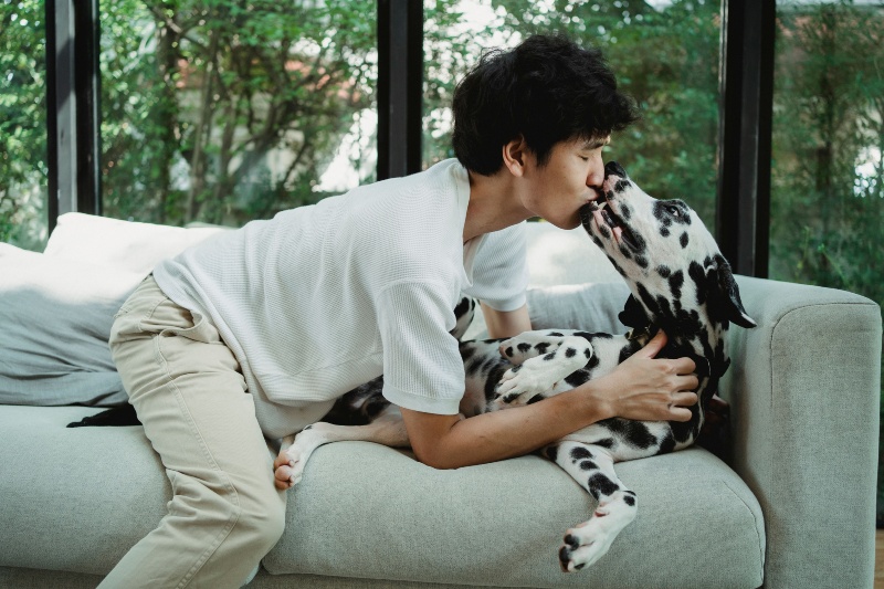 What your dog thinks when you kiss it