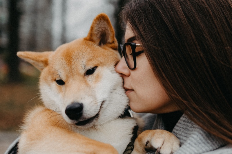 What your dog thinks when you kiss it