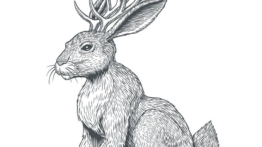 Jackalope, Jackrabbit or Wolpertinger hare with horns isolated on white background. Folklore magic animal engraving or etching style hand drawn vector illustration