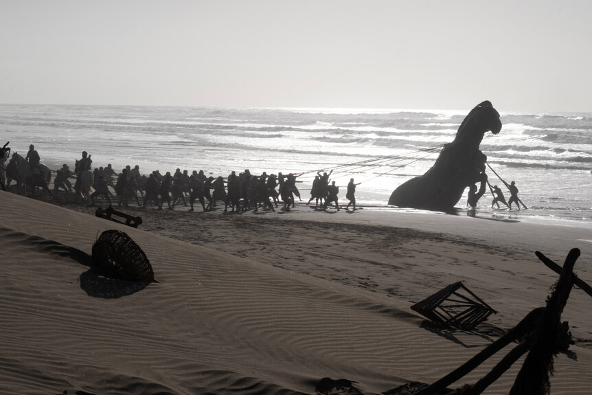 A beach shot of The Odyssey (2026)