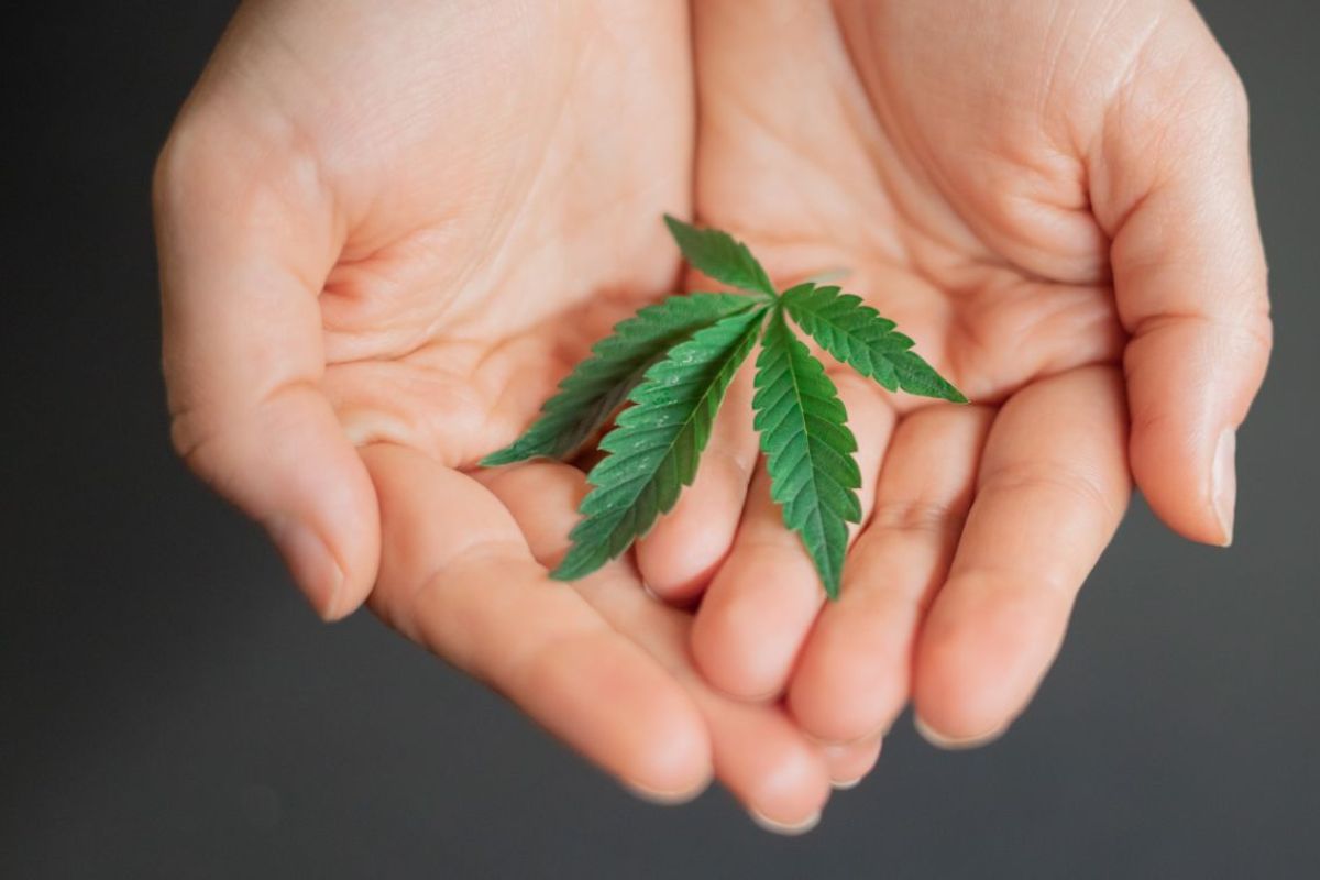 Cannabis: Will you still be okay long after the high fades away?
