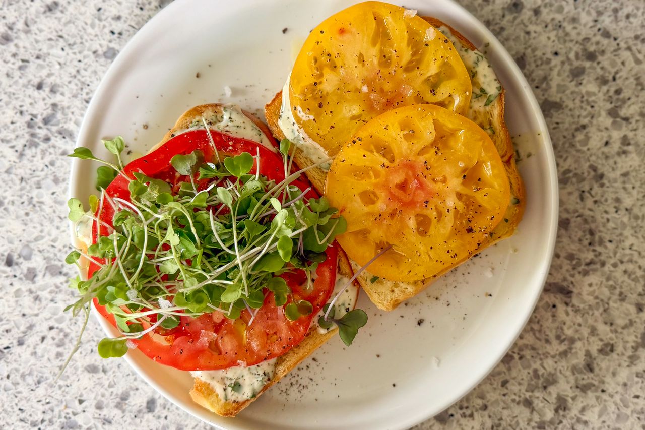 Two slices of bread on a plate topped with tomato slices greens and seasoning