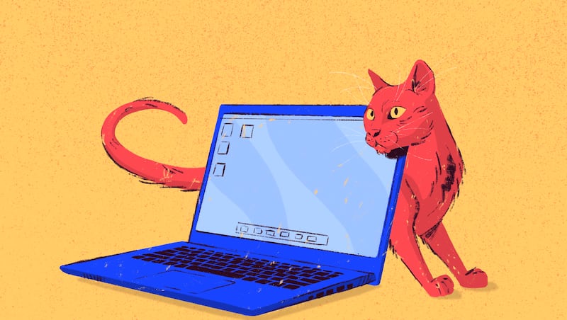 What does it mean? Most-searched definitions on Google in 2026