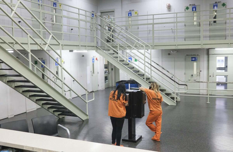 Inmate tased during Horry County jail fight. He's now paralyzed ...