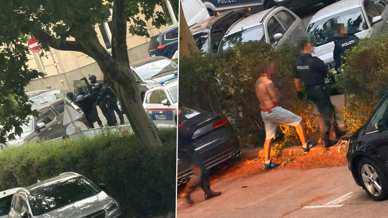 WEGA-Einsatz in Wien! Mann verhaftet, Abschiebung folgt