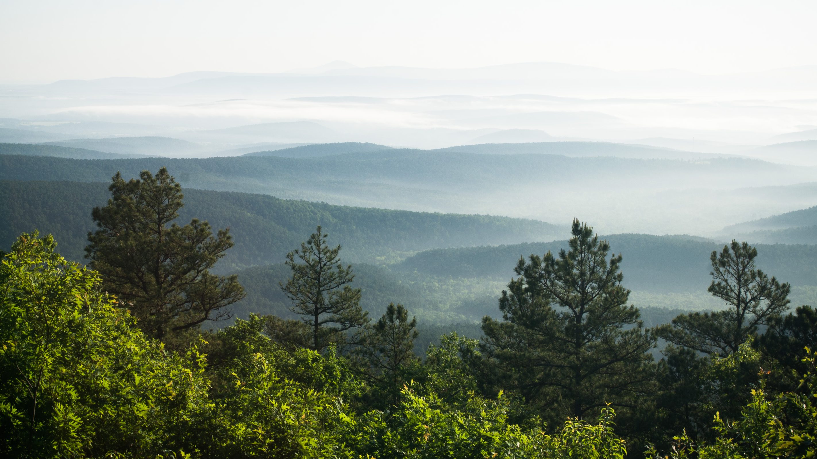 veew of the Ouachita Mountains from an overlook in oklahoma