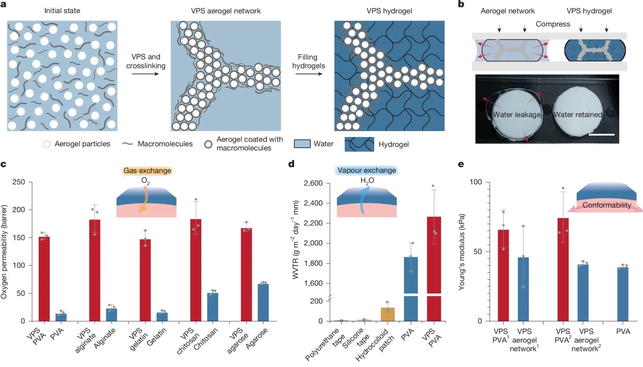 Preparation and properties of VPS hydrogels. (CREDIT: Nature)