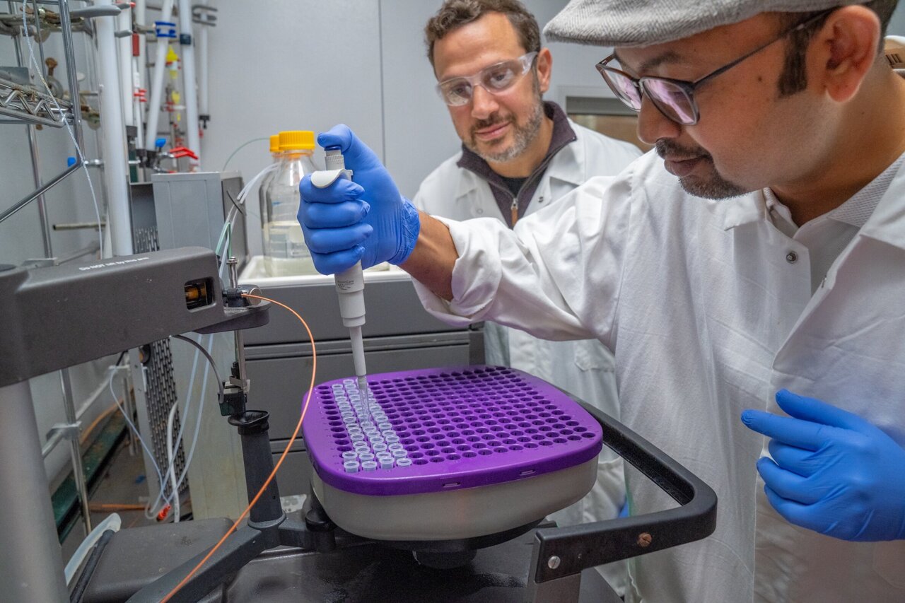 'Enchanted broomstick' protein walks on two stubby legs to keep our nerve cells alive