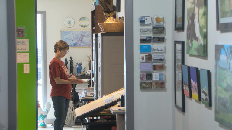 Blue Cat Gallery and Studio connects Wayne’s community with art