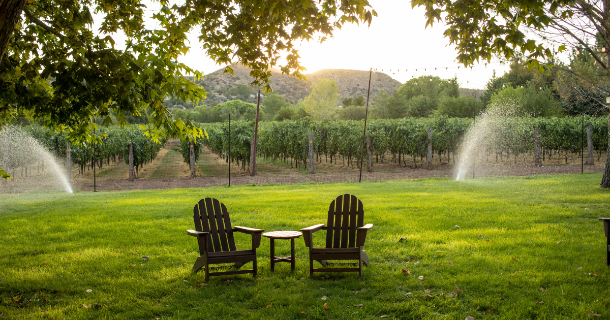 This Small Town in Arizona Is Perfect for Wine Lovers
