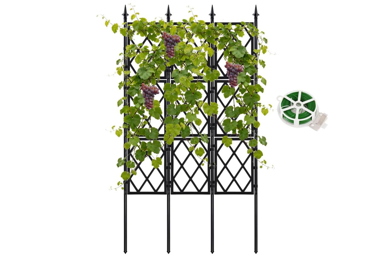 63 Inch Garden Trellis Support Fence,Metal Wall Lattice Climbing Frame for Climbing Plants Outdoor, Black Iron Pipe Fence for Potted Plants Indoor for Ivy Vines Vegetable Flower, Patio, Lawn, Yard