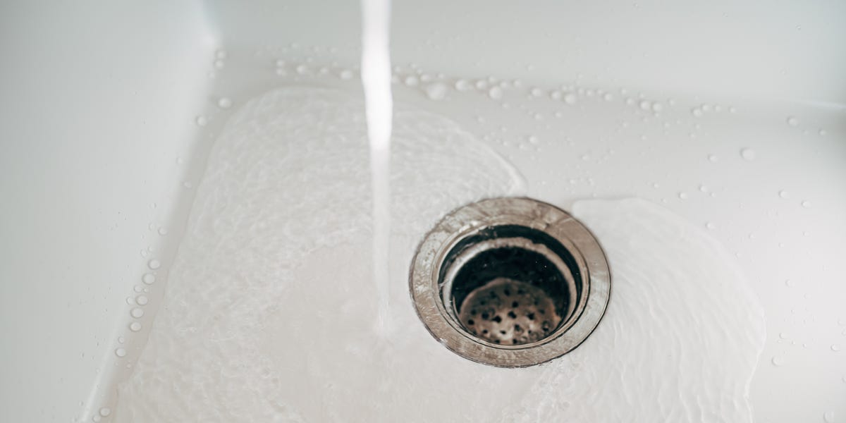 How to Eliminate Drain Flies Once and for All