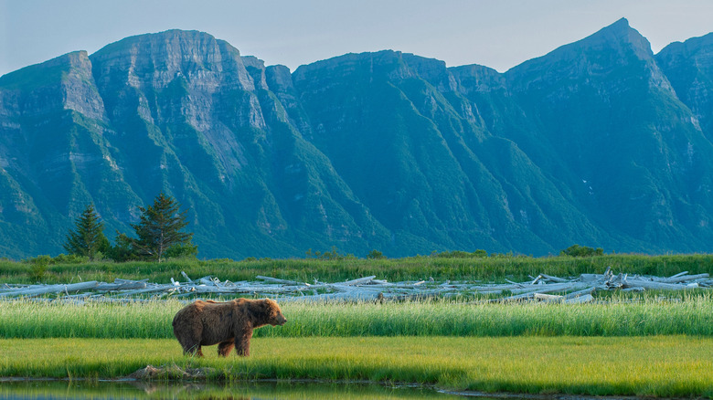 America's Least Visited State Is A Destination Full Of Breathtaking Parks, Mountains, And Abundant Wildlife
