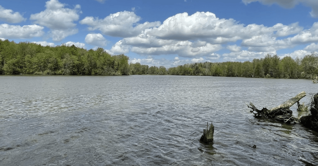 Scenic view of Stonelick Lake in Ohio with fluffy white clouds, blue sky, and a forested shoreline.