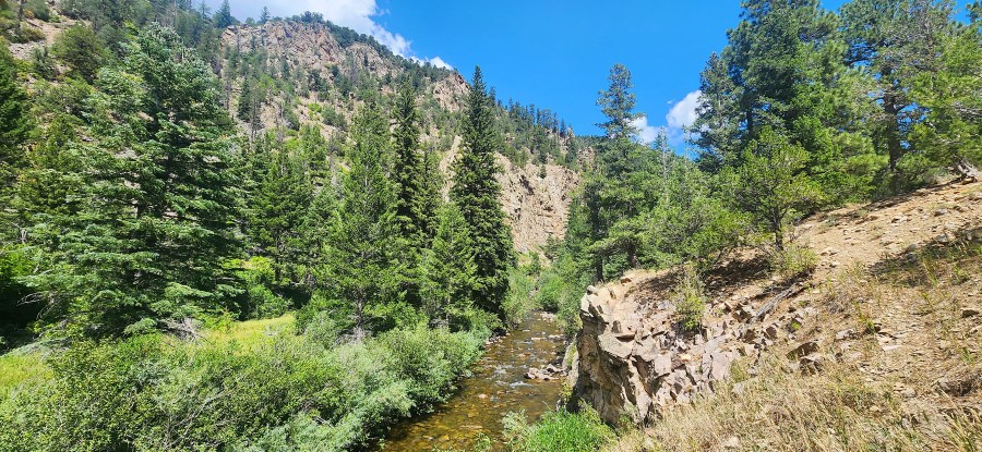 New Mexico wildlife experts share insight on 'Roadless Rule' being repealed