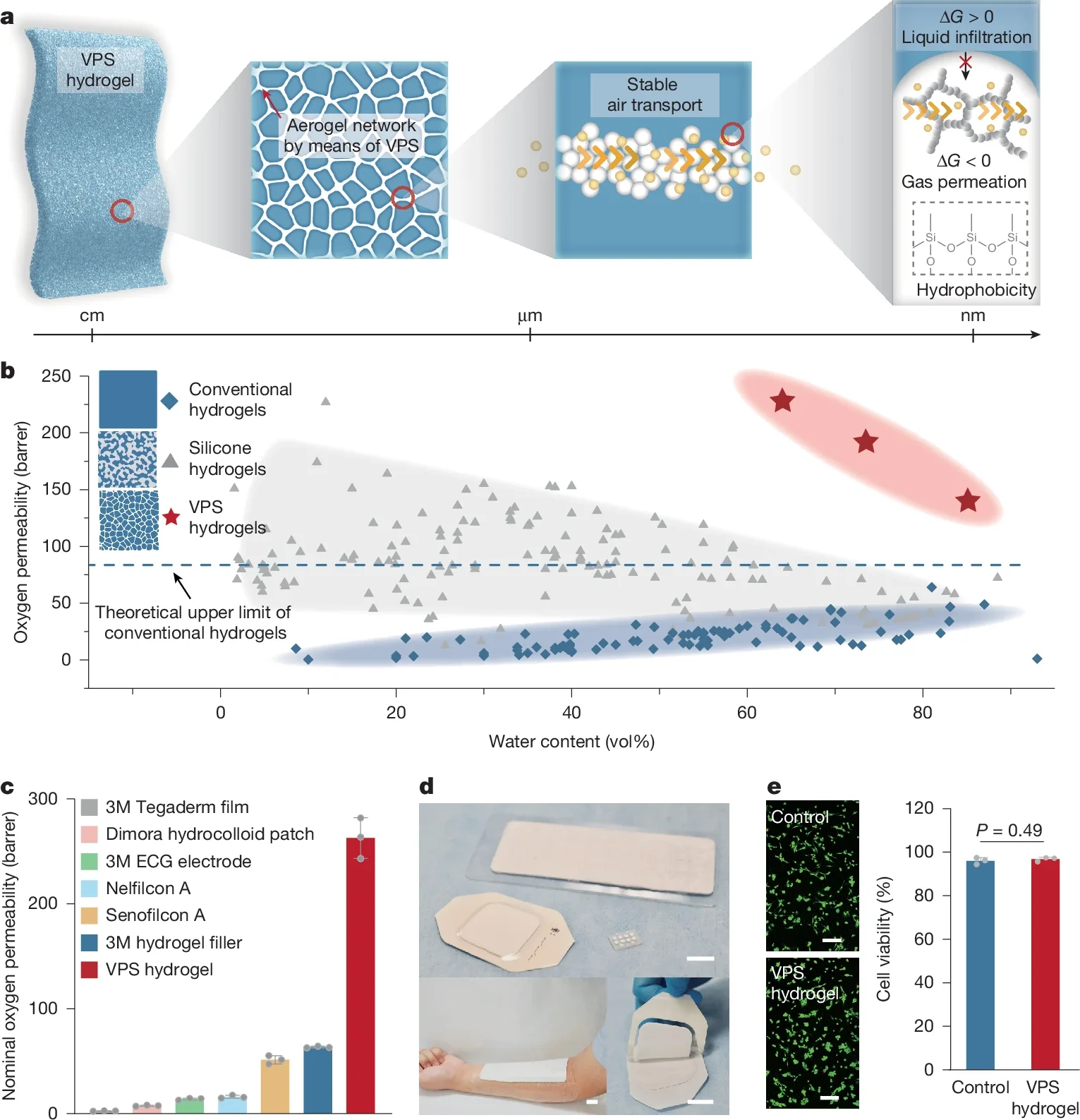 Design strategy and key features of air-permeable hydrogels. (CREDIT: Nature)