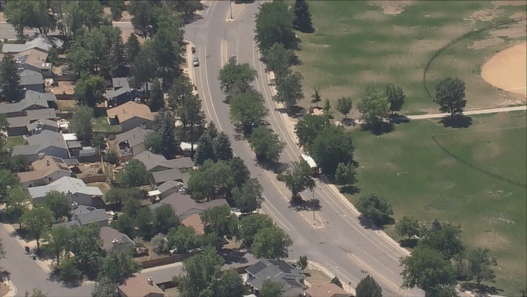 2 people in custody following armed carjacking and shots fired