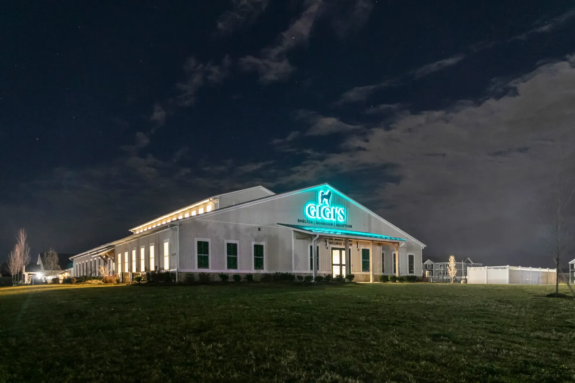 Gigi's lands $2M to expand its dog rescue strategy nationwide