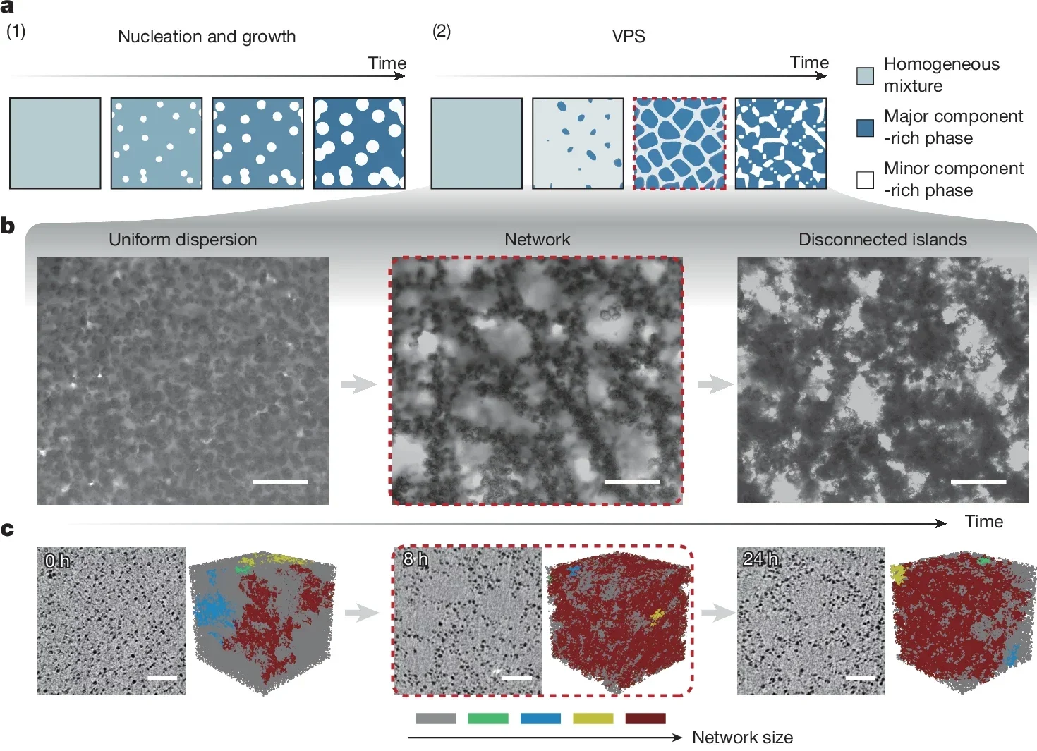 Preparation and characteristics of VPS aerogel networks. (CREDIT: Nature)