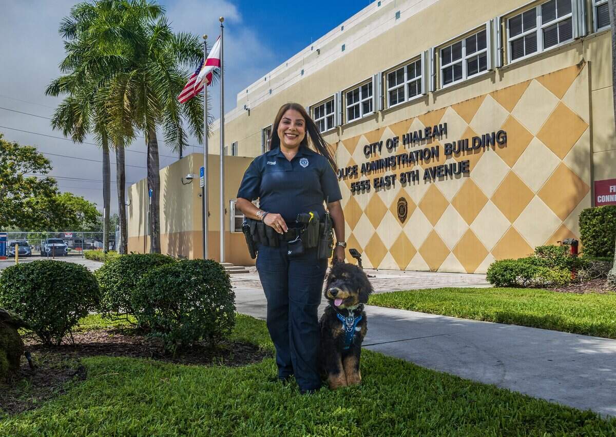 Meet Domino, Hialeah's newest police dog, whose job is helping people heal