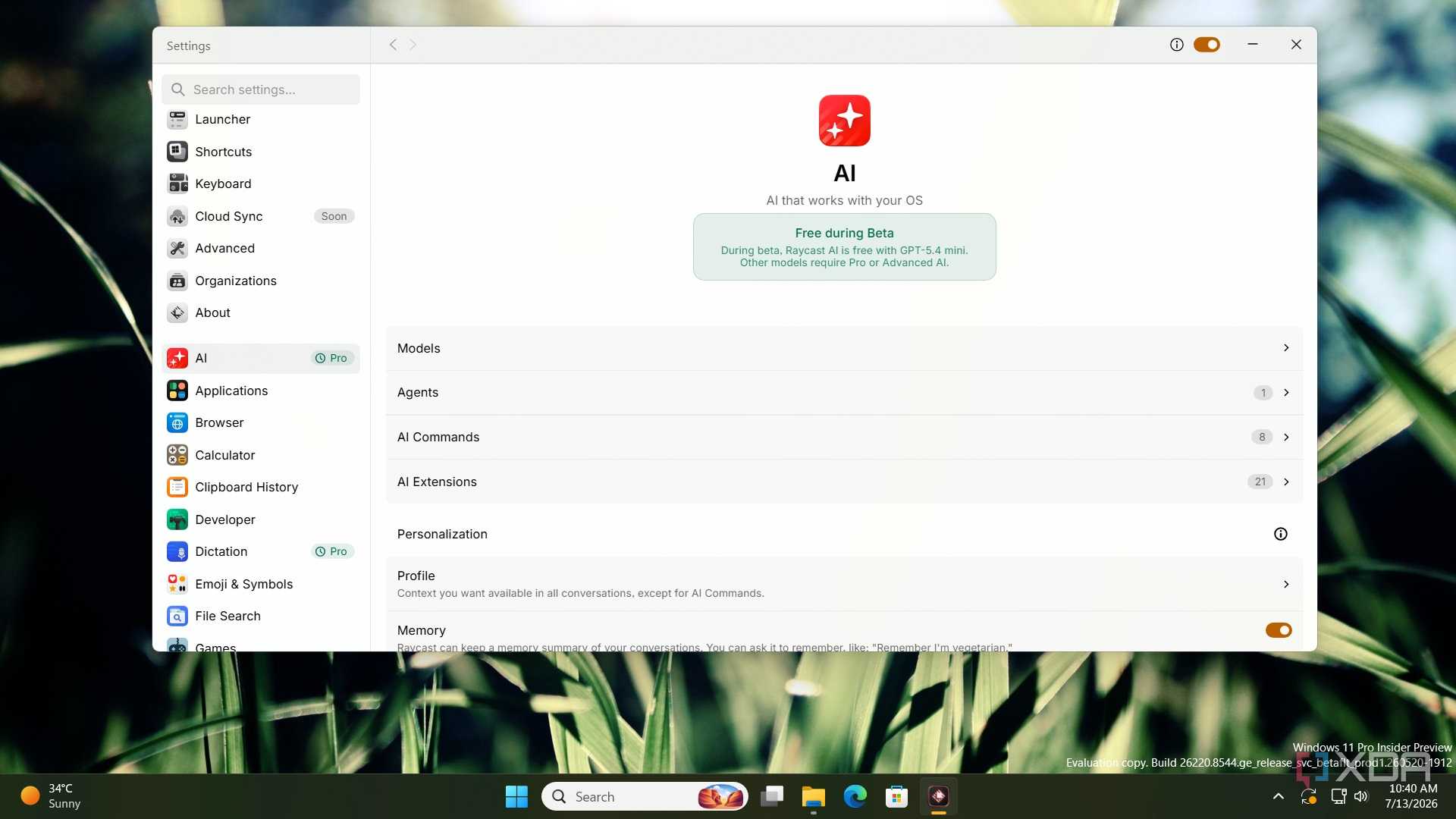 screenshot of raycast ai settings