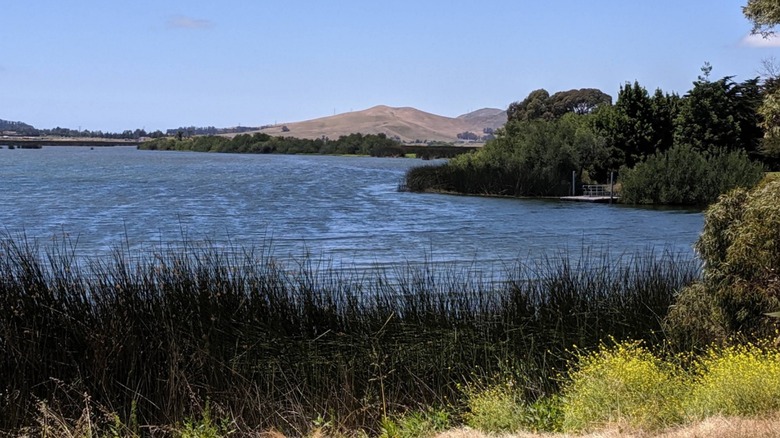 Between Bakersfield and the Pacific Ocean is California's underrated lake park for fishing and trails