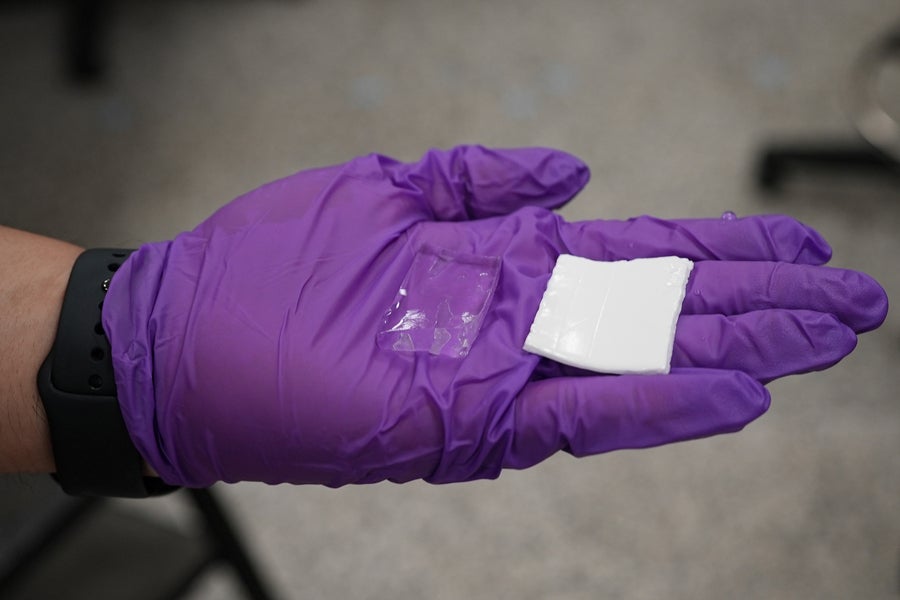 The new design of the hydrogel, right, is compared to a previous hydrogel (clear). (CREDIT: Melanie Gonick, MIT)