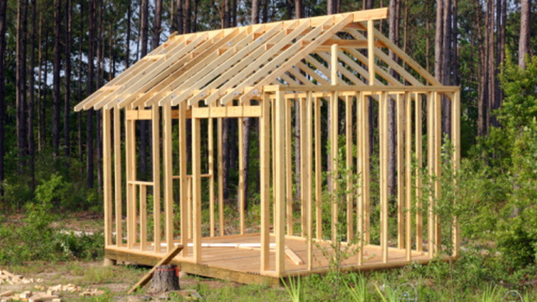 Framing for a small shed in a wooded backyard built on cement pillars and pressure-treated skids.