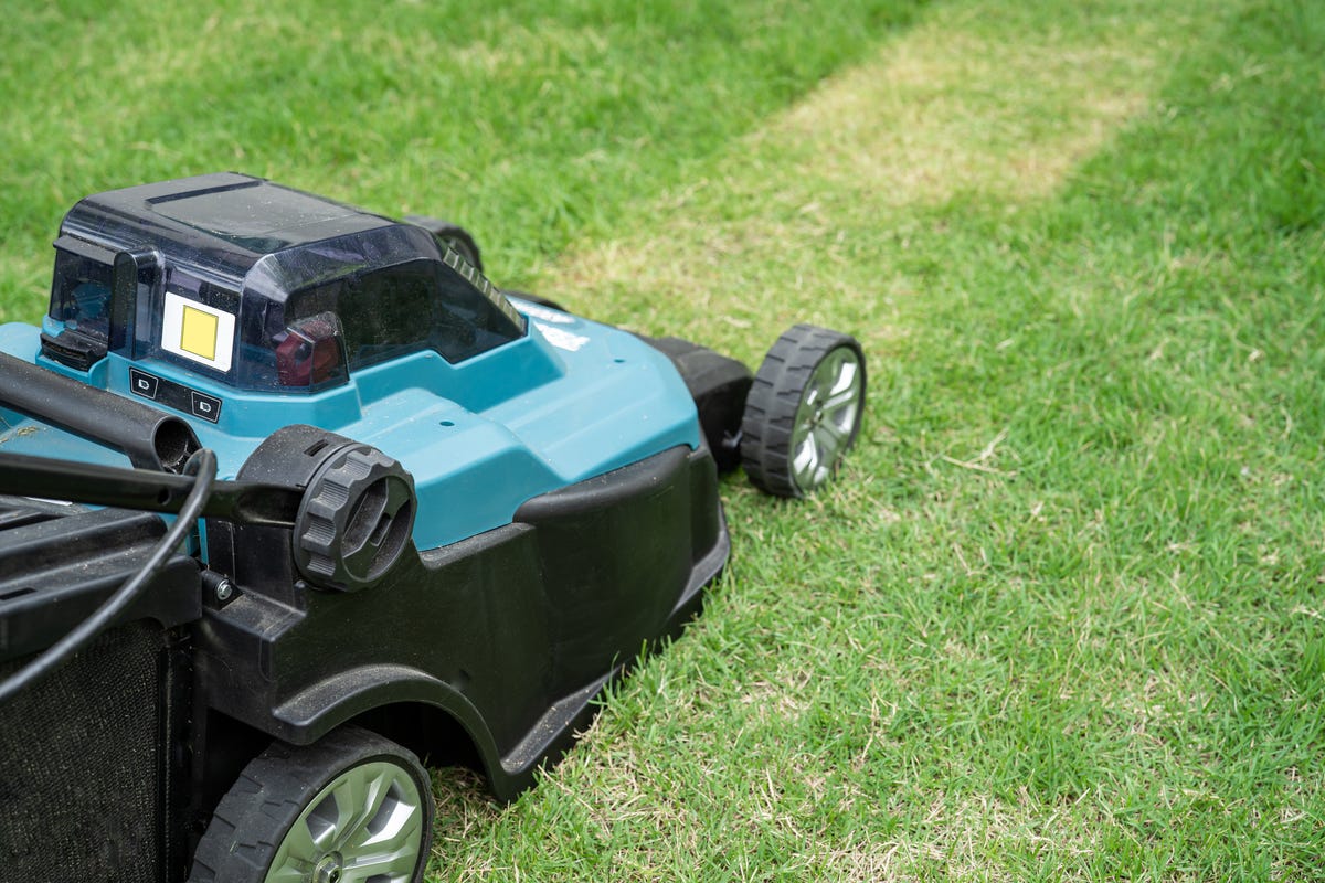 why grass so bad mowing too short.jpg