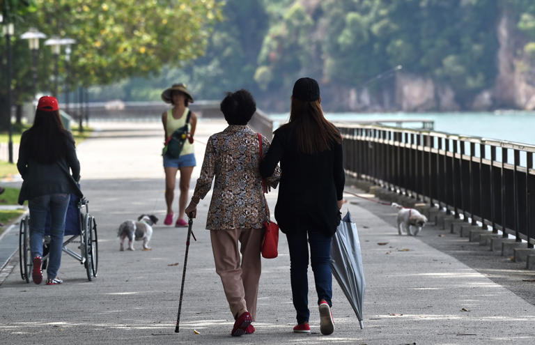 A carer walks with an elderly woman through a park in Singapore. Sectors such as healthcare and caregiving will still require the human touch, observers say. Photo: AFP