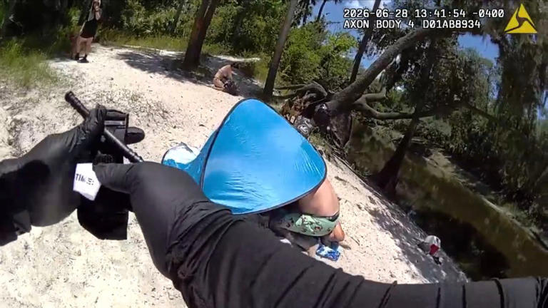 Allison desperately tried to free Clark from the gator as it sunk its jaws into the 31-year-old. Seminole county sheriff's office