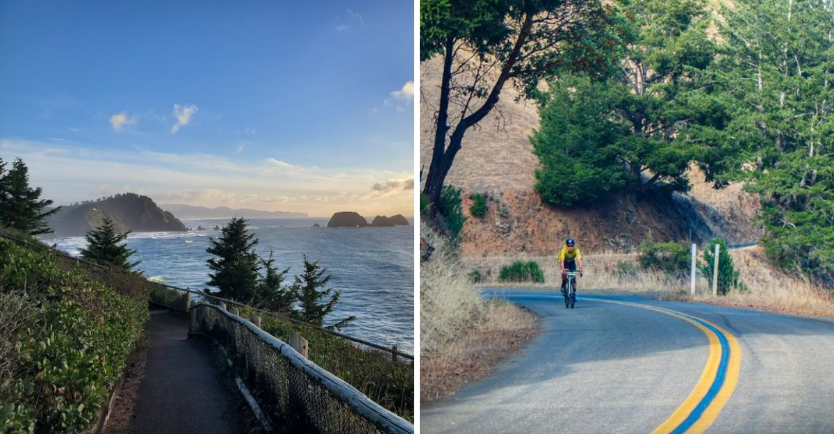 9 Oregon summer bike tours that offer stunning views and unforgettable ...