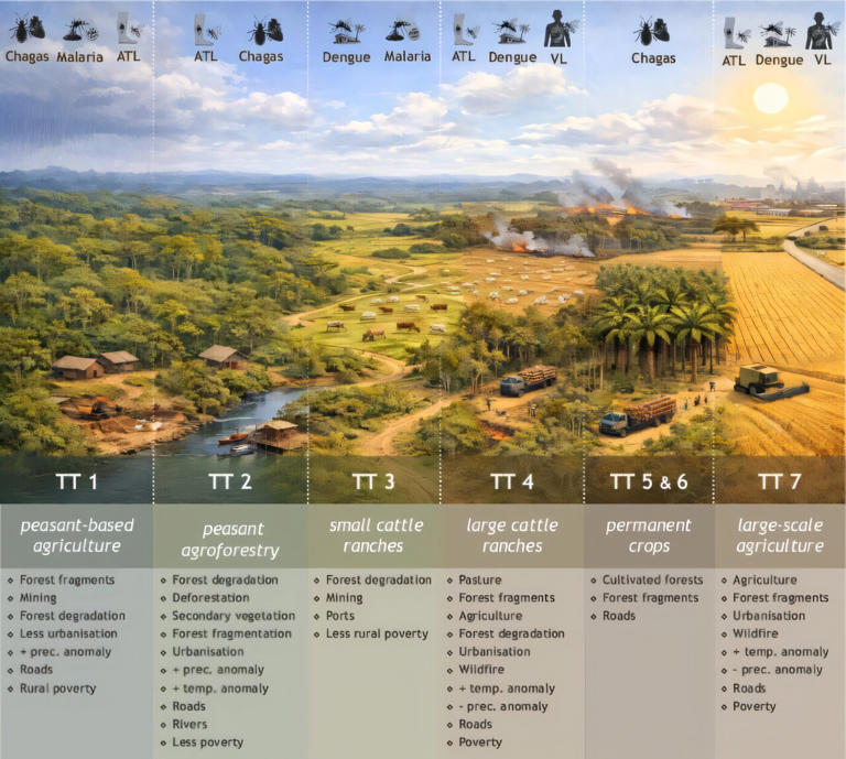 Insect-borne diseases in the Amazon linked to land use and rural economies