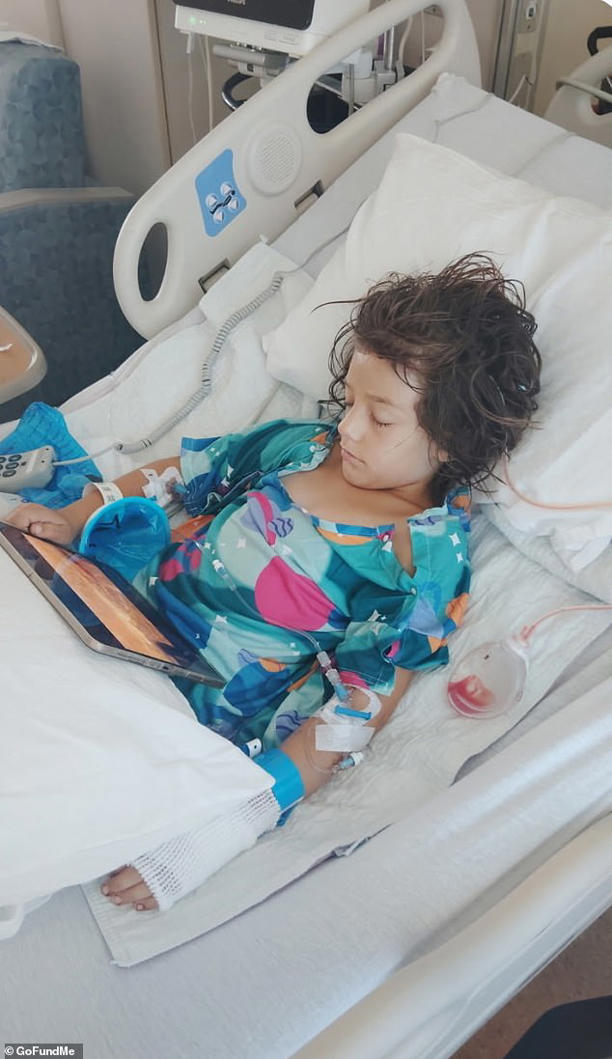 The investigation into the dog attack that left Patricia in the hospital fearing for her life is still being investigated by authorities
