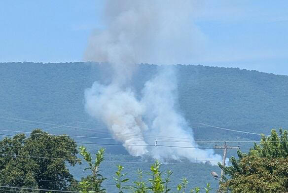 Roanoke County brush fire 100% contained