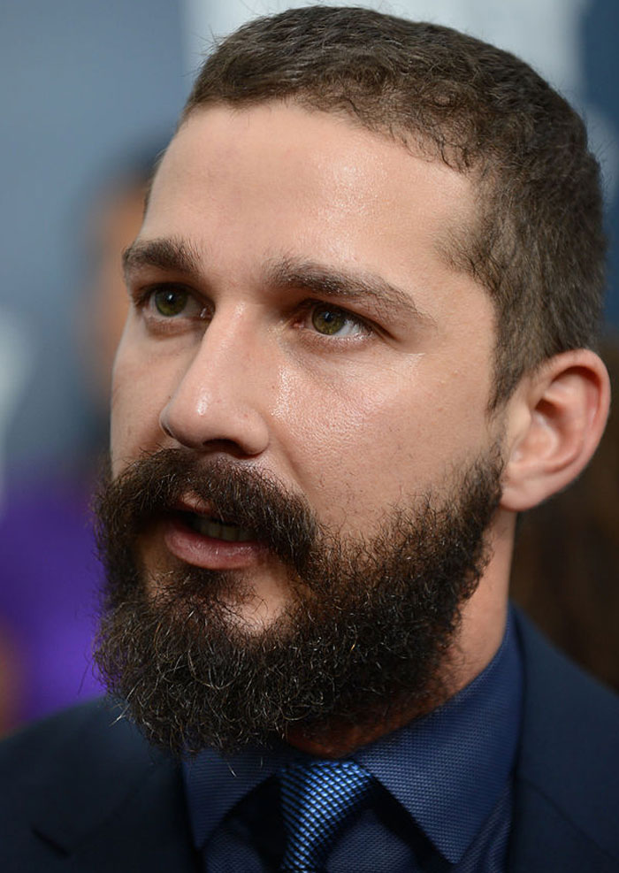 Hollywood Careers: 29 Actors Who Squandered Their Potential
