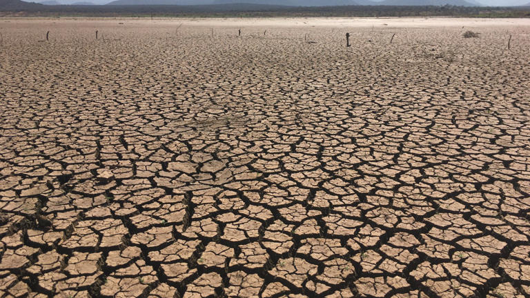 Nearly a fifth of the country is in extreme drought as a record fire ...
