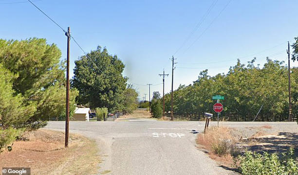 The Tehama County Sheriff's Office said the dog attack happened around Barham Avenue and Bosque Avenue (pictured), close to where the little girl lived, on Saturday around 12.30pm